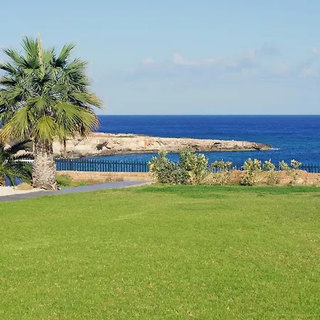 Erika 普罗塔拉斯