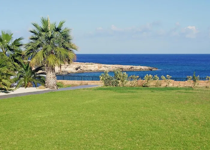 Erika 프로타라스